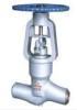 Pressure sealing globe valve