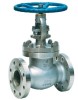 Stainless steel globe valve