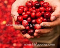 Granberry Extract - Anthocyanidins