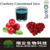 Pure Natural Cranberry Juice concentrate 65brix/Cranberry Juice