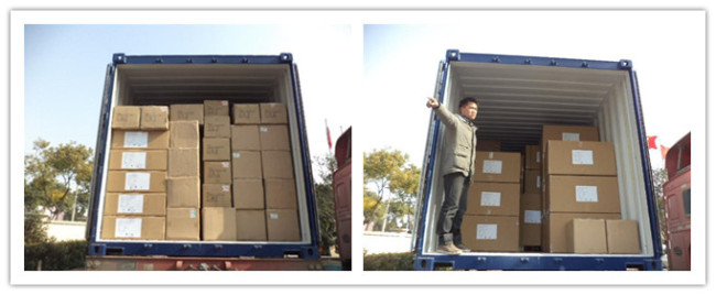 Container Loading Inspection service in China