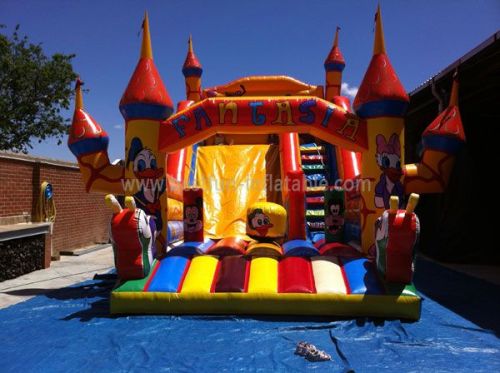 Outdoor Large Fantastic Bouncy Castle Slide