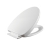 TD330 PP soft close Toilet Seat