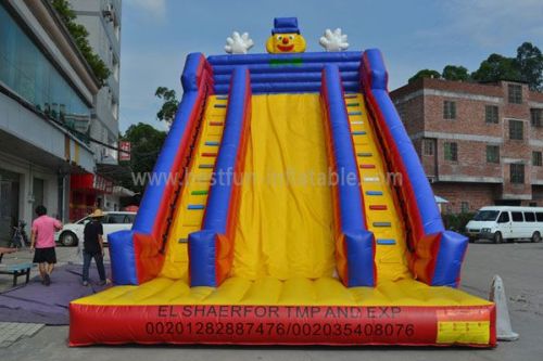 Outdoor High Quality Inflatable Slide