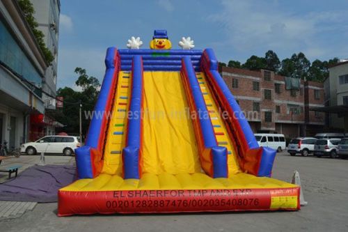 Outdoor High Quality Inflatable Slide