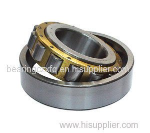Cylindrical Roller Bearing NU.NJ 10 Series