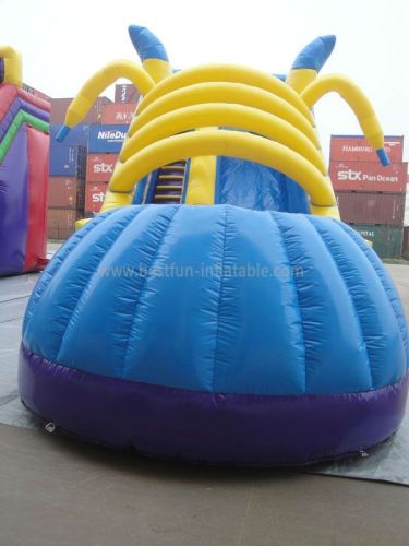 Inflatable Shoe Slides For Children