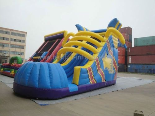 Inflatable Shoe Slides For Children