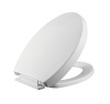 plastic toilet seat shells china with soft close