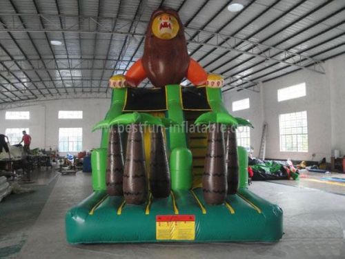 New Inflatable Commercial Slide