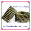Wire pallet coil nails supply