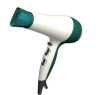 Powerful lightweight Professional hair dryer