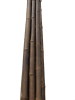 leopard bamboo dry stakes