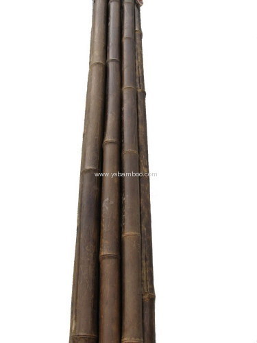 leopard bamboo dry stakes