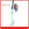 Multifunctional pretty handle plastic cleaning brush with PP,pp bristle