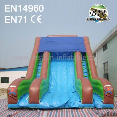 Outdoor Classic Large Commercial Inflatable Slide