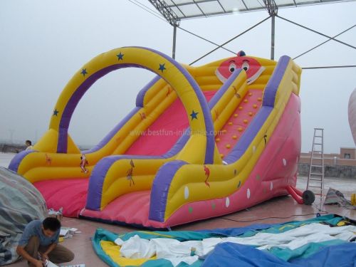 Pink Inflatable Dry Slide