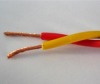 450/750V Copper conductor PVC insulated electrical wire