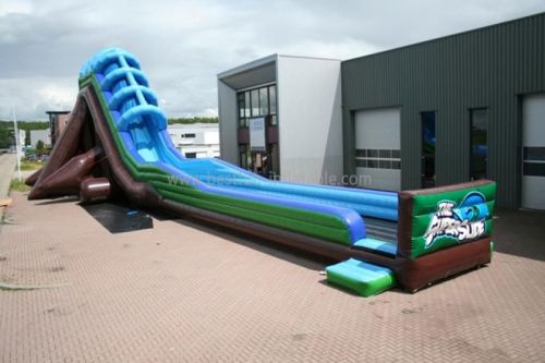 Giant Adult Inflatable Slide