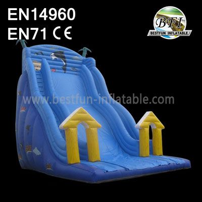 Giant Adult Inflatable Outdoor Slide