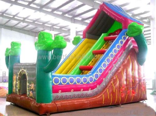 Backyard Inflatable House Slide