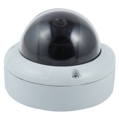 Analog Dome Camera - D605 series