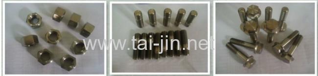 Titanium Ti Fastener bolt