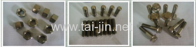 Titanium Fastener Nut Manufacturer