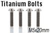 M5*20mm Titanium bolt with high quality