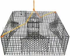 Shrimp trap with four tunnels for maximizing shrimp entrance