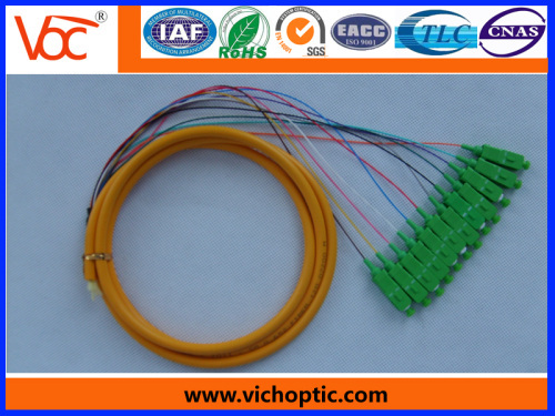 12 core branch SC/APC fiber pigtail