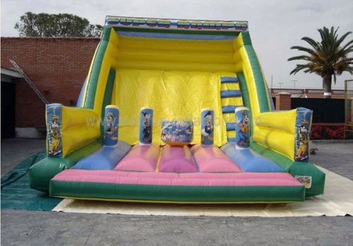 Super Inflatable Theme Slide And Bouncer