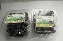 Hot stamping foil for fruit packing box