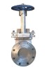 SS knife gate valve