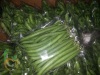 Fresh Green Beans From Egypt