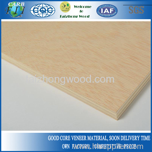 Good Quality Poplar Core Furniture Plywood