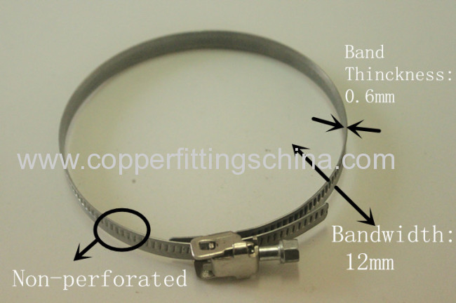 12mm Bandwidth Quick Release Hose Clamp Manufacturer