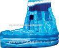 OEM High Speed Race Slide, Cool Adult Inflatable Commercial Water Slides For Kids / Adults