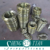 Forged Weld Neck (WN) Stainless Steel Flange (304/304L/316/316L/316Ti/321/317L/904L/A105)