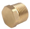 Brass Male End Fitting