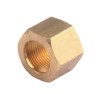 Forged Brass Female Nuts