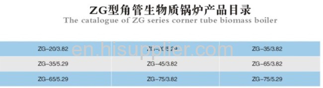 ZG Series Chain Grate Biomass Power Station Boiler