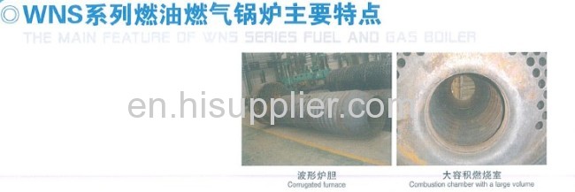 WNS Series Fuel And Gas Boiler