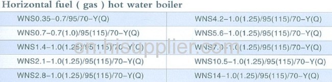 Horizontal Fuel and Gas Boiler