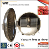 Vacuum Freeze Drying Machine (K8006043)