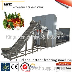 Fluidized Instant Freezing Machine (K8006044)