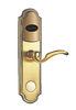 Golden Stainless Steel Combination Door Locks With Mechanical Key