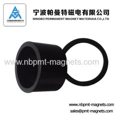 large permanent ring multipole magnet