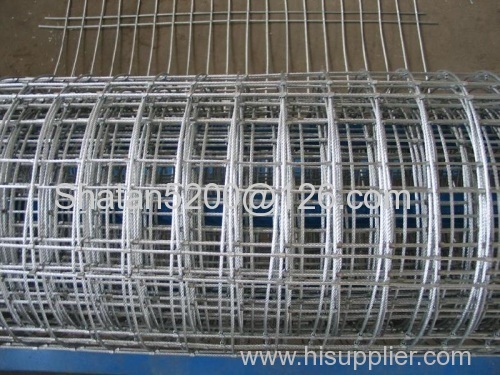 galvanized welded wire mesh