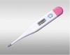 High accurancy Pen-shape digital thermometer 02